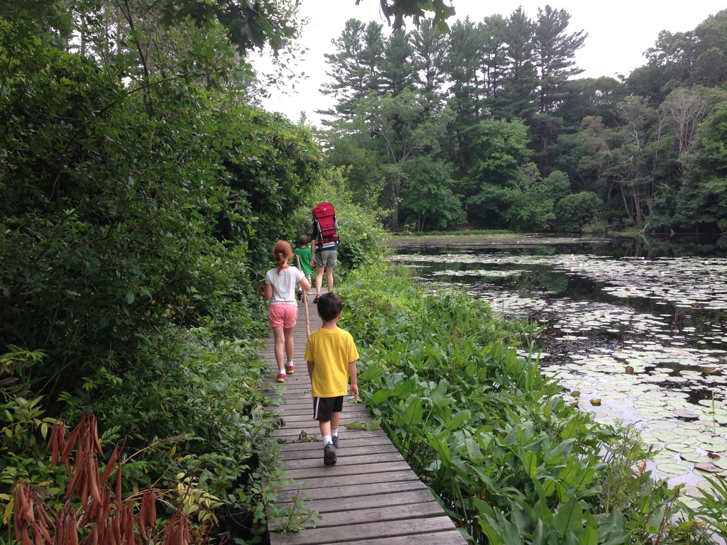 Ipswich River Wildlife Sanctuary